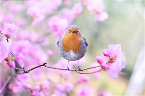 $10 Spring Promo Certificate 